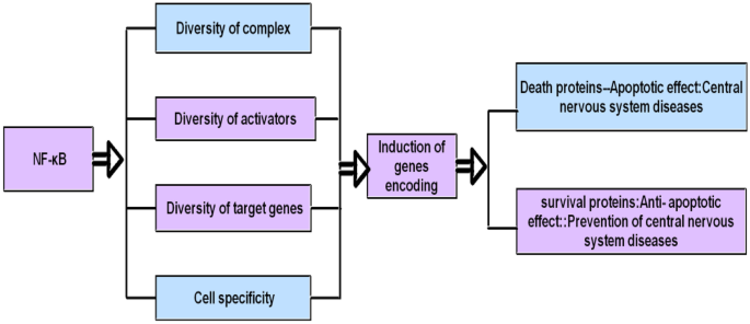 Study on the Correlation Between NF-κB and Central Fatigue | SpringerLink