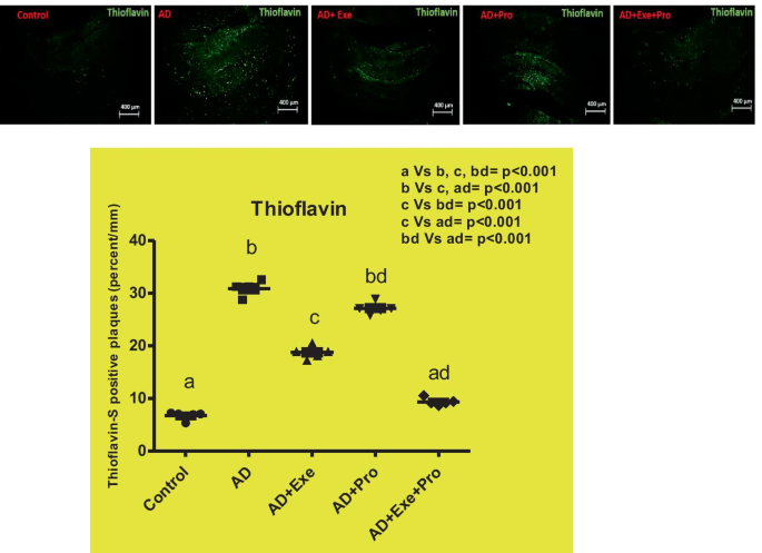 An 8 Week Administration Of Bifidobacterium Bifidum And Lactobacillus Plantarum Combined With Exercise Training Alleviates Neurotoxicity Of Ab And Spatial Learning Via Acetylcholine In Alzheimer Rat Model Springerlink