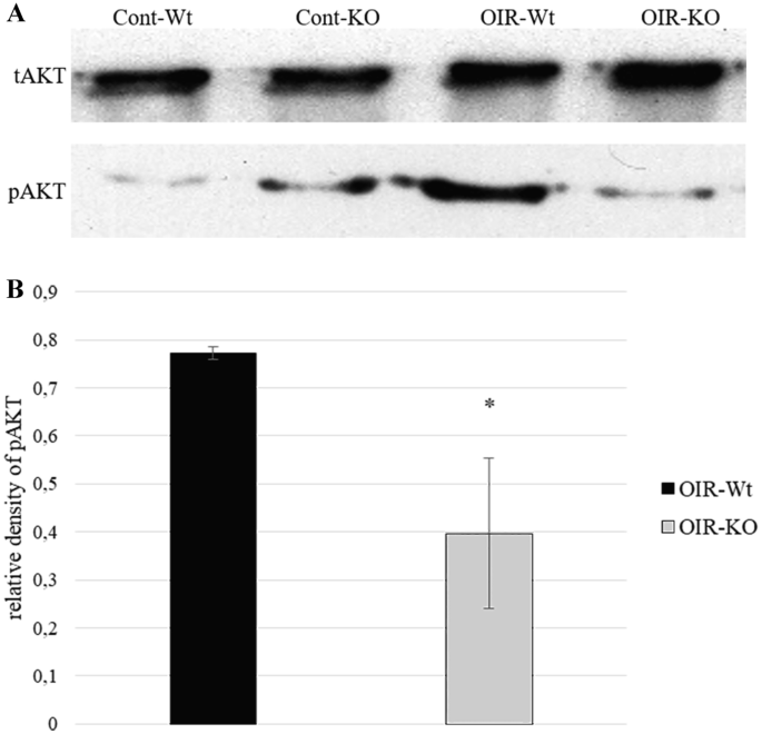 figure6