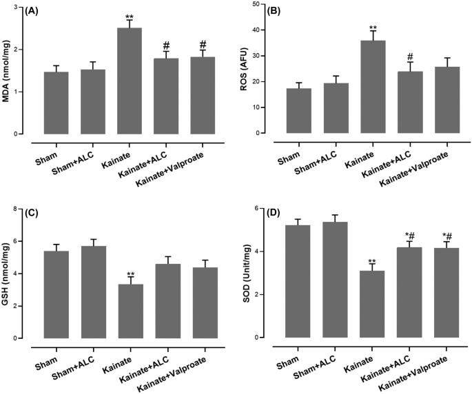 Acetyl-L-Carnitine Exerts Neuroprotective and Anticonvulsant Effect in  Kainate Murine Model of Temporal Lobe Epilepsy | Journal of Molecular  Neuroscience | Springer Nature Link