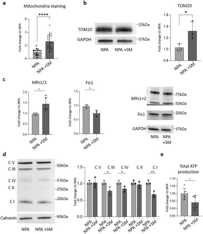 Frontiers  Lysosomal and Mitochondrial Liaisons in Niemann-Pick