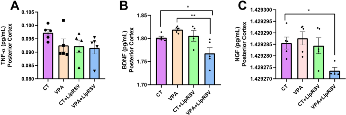 glutathione levels and autism Evidence of microglial activation in its possible role in brain underconnectivity Elevated brain glutamine levels in  autism and glutathione levels 