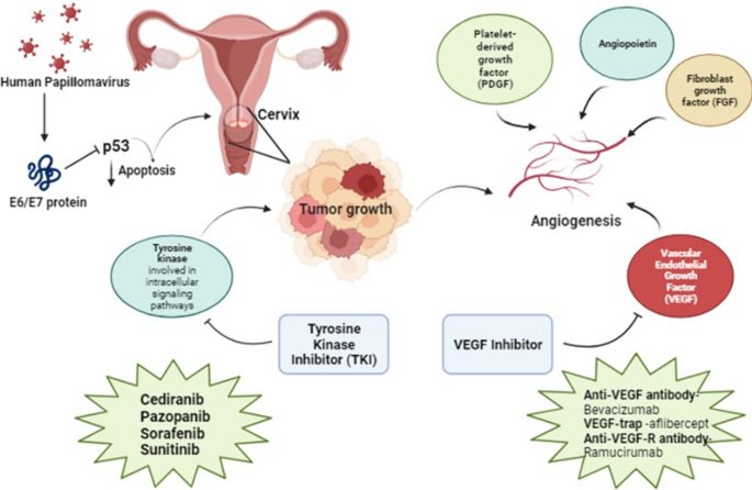 Small molecule inhibitors of the VEGF and tyrosine kinase for the ...