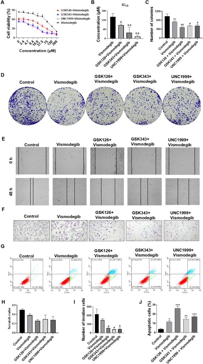EZH2 inhibitor and Vismodegib synergistically inhibit the growth and ...