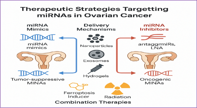 Crosstalk between microRNA and oxidative stress in ovarian cancer ...