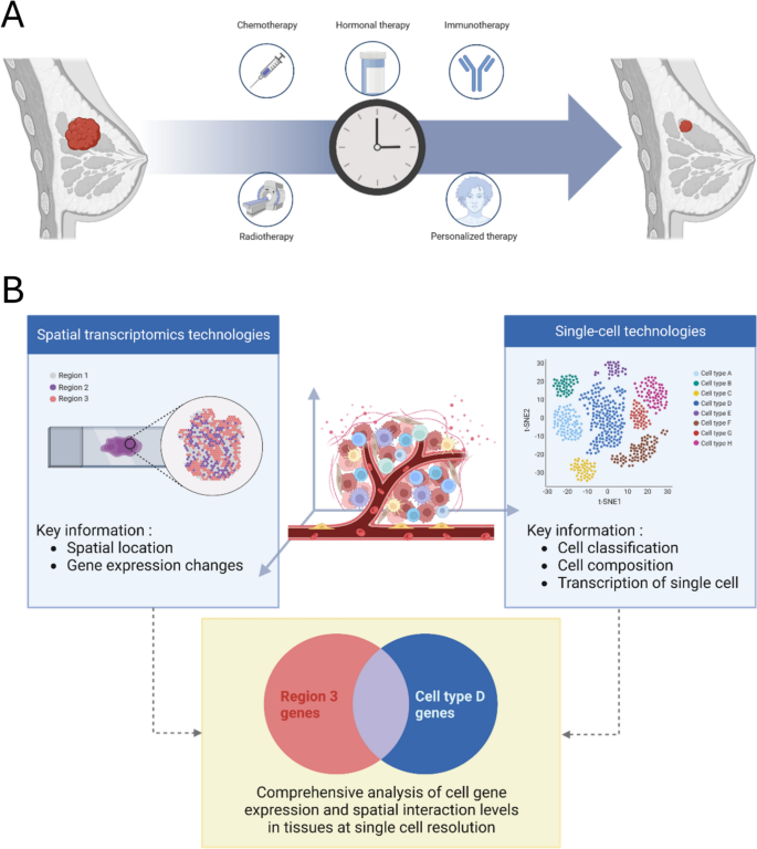 Tumor microenvironment response to neoadjuvant therapy in breast cancer ...