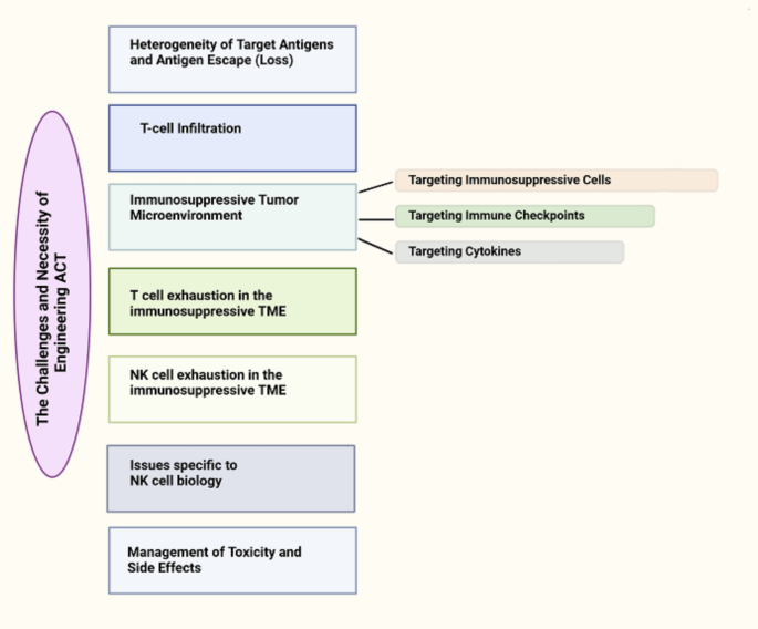 Engineering adoptive cell therapy for solid tumors | Medical Oncology