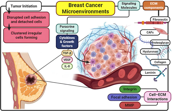 3D bioprinting innovations: a new frontier in breast cancer research ...