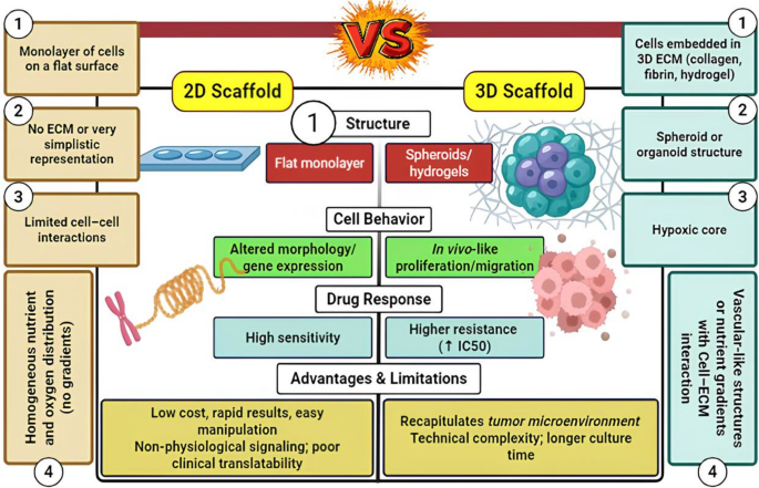 3D bioprinting innovations: a new frontier in breast cancer research ...