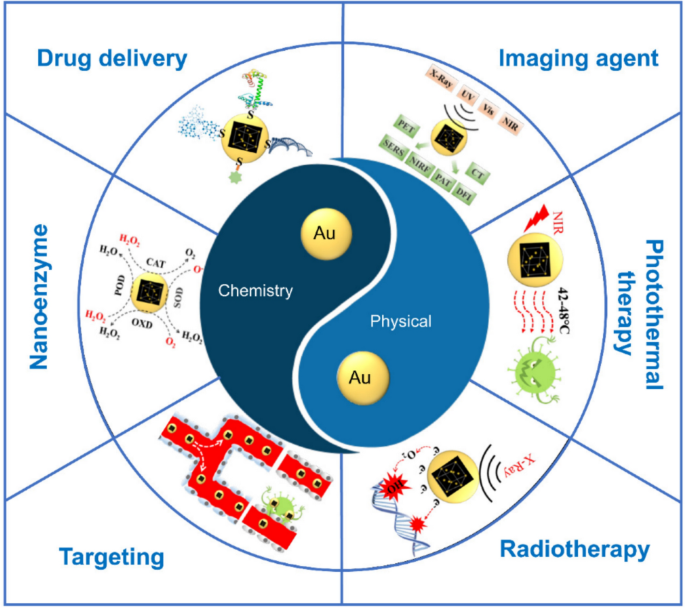 Targeted drug delivery in cervical carcinoma: the role of gold ...