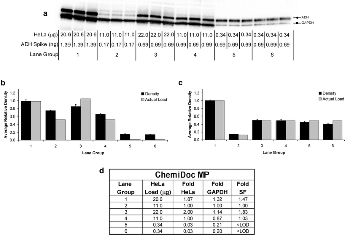 A Defined Methodology for Reliable Quantification of Western Blot Data |  SpringerLink