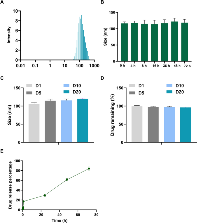 Co-delivery of Liposomal Ketoconazole and Bevacizumab for Synergistical  Inhibition of Angiogenesis Against Endometrial Cancer | Molecular  Biotechnology | Springer Nature Link