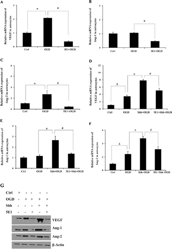 Abstracts Of The 2012 International Conference Of Neurological Disorder From Molecular Neurobiology To Clinical Therapy Springerlink