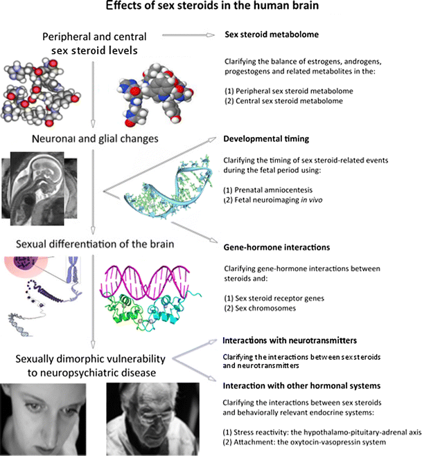 A Guide To le meilleur steroide anabolisant At Any Age