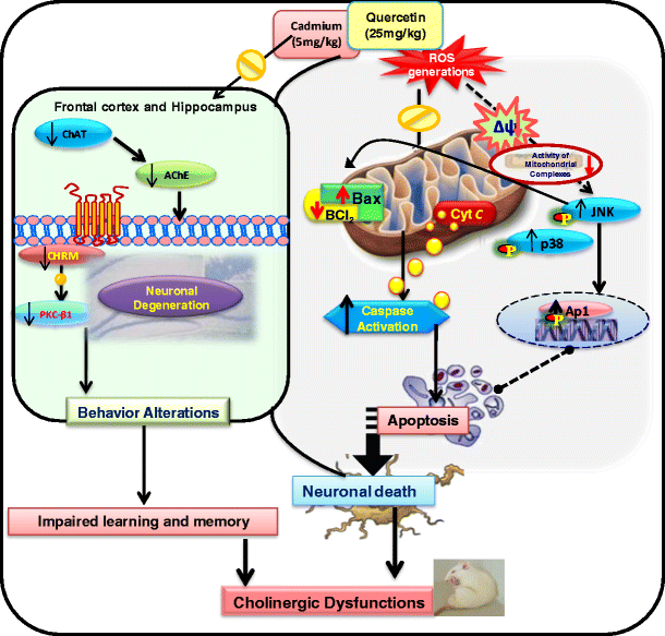 figure 16