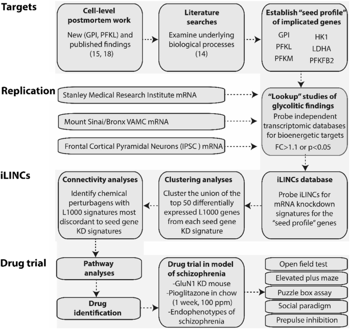 Connectivity Analyses of Bioenergetic Changes in Schizophrenia ...