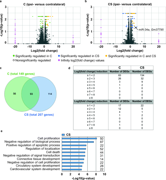 Endothelial Cell Specific Transcriptome Reveals Signature Of Chronic Stress Related To Worse Outcome After Mild Transient Brain Ischemia In Mice Springerlink