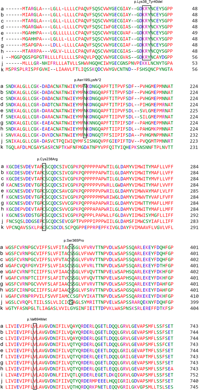 At a glance: the largest Niemann-Pick type C1 cohort with 602