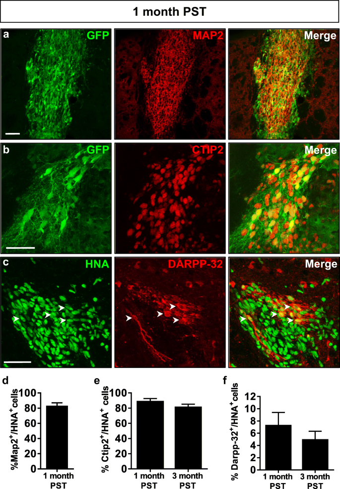 figure 15