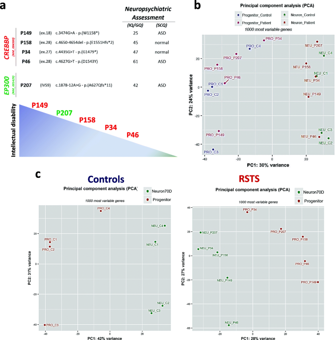 PDF) Genetic heterogeneity in Rubinstein-Taybi syndrome: Delineation of the  phenotype of the first patients carrying mutations in EP300