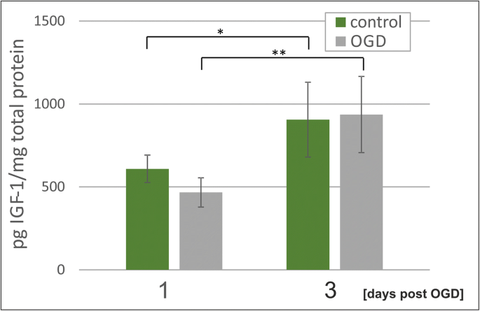 Oligodendrocyte Response To Pathophysiological Conditions Triggered By Episode Of Perinatal Hypoxia Ischemia Role Of Igf 1 Secretion By Glial Cells Springerlink