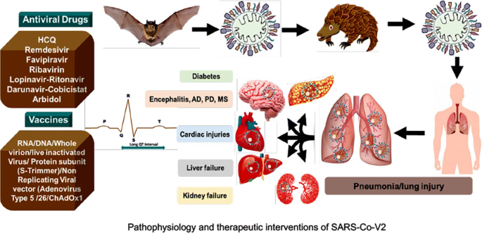 Current Status Of Multiple Drug Molecules And Vaccines An Update In Sars Cov 2 Therapeutics Springerlink