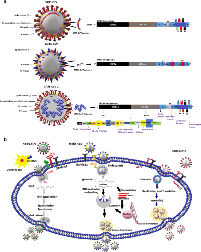 a review on sars cov 2 induced neuroinflammation neurodevelopmental complications and recent updates on the vaccine development springerlink