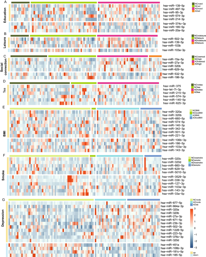 Plasma Exo-miRNAs Correlated with AD-Related Factors of Chinese Individuals  Involved in Aβ Accumulation and Cognition Decline | Molecular Neurobiology