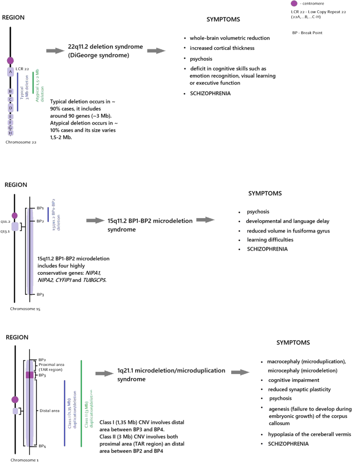 Copy Number Variations and Schizophrenia | Molecular Neurobiology copy-number-variations-and-schizophrenia-molecular-neurobiology