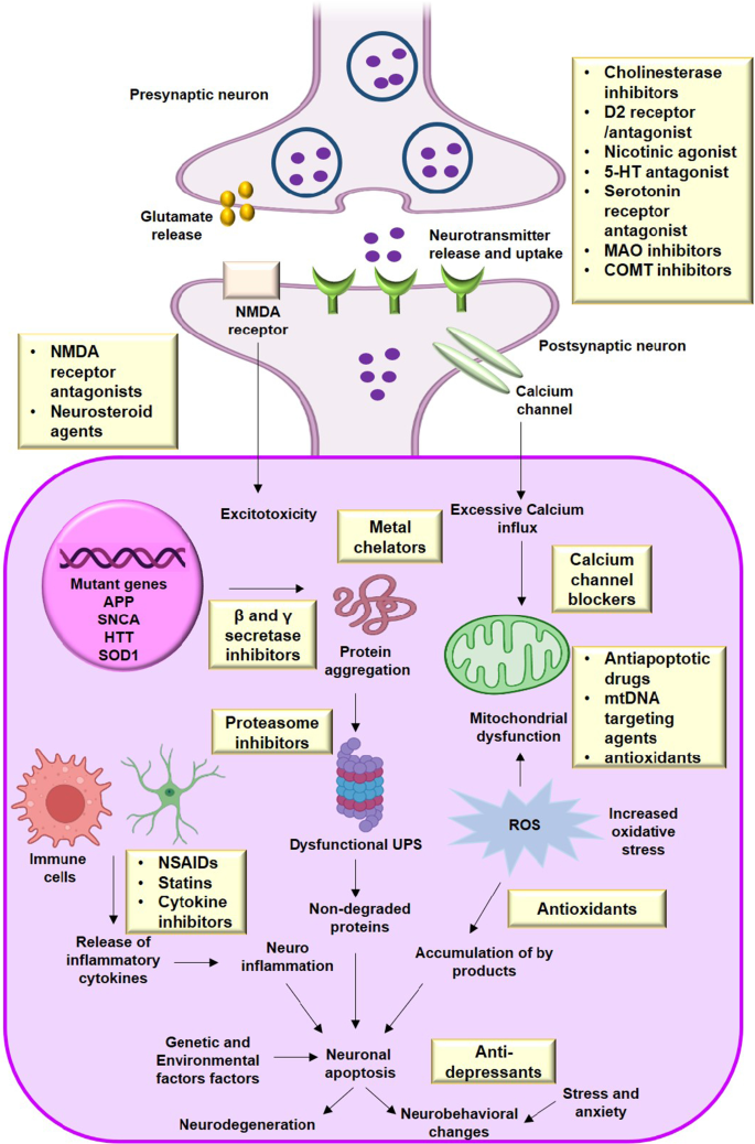 Personalized genetics of the cholinergic blockade of neuroinflammation -  Simchovitz - 2017 - Journal of Neurochemistry - Wiley Online Library