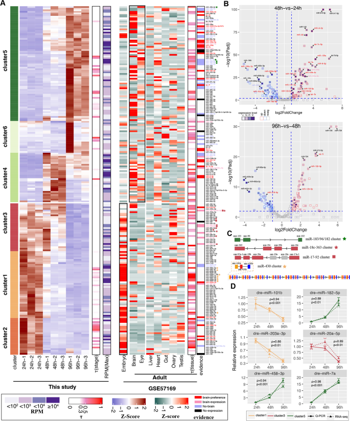 Integrative mRNA and miRNA Expression Profiles from Developing ...