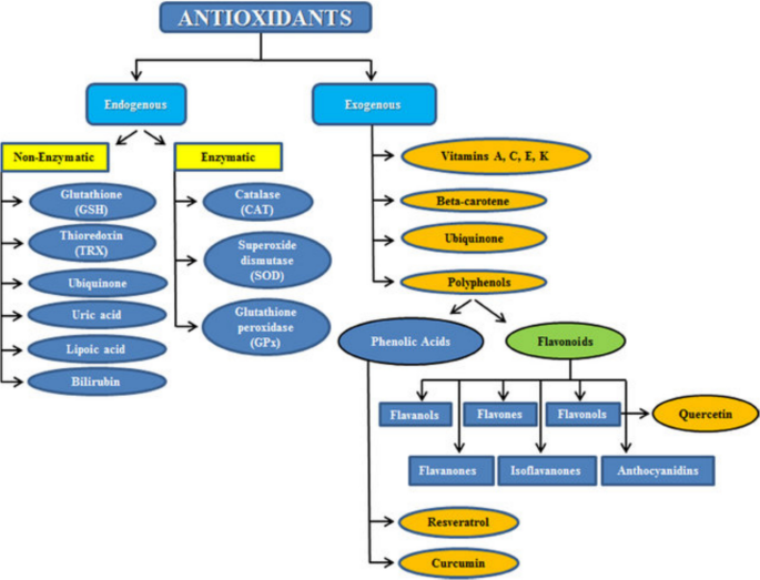 Potential Roles of Natural Antioxidants in Modulating Neurodegenerative  Disease Pathways | Molecular Neurobiology | Springer Nature Link
