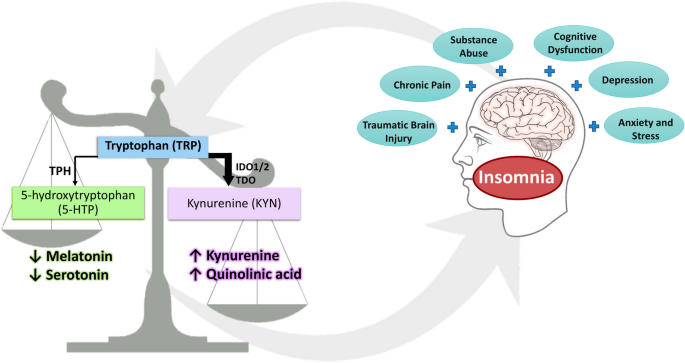 Neurochemical Insights into the Role of Tryptophan Metabolites and  Kynurenine Pathway in Insomnia and its Psychological and Neurological  Comorbidities | Molecular Neurobiology