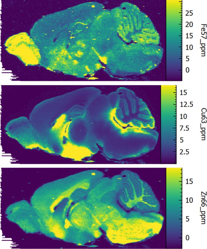 Cannabidiol Modulates Brain Copper Homeostasis in Wild-Type-Like But ...