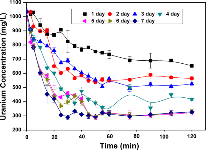 A New Uranium Bioremediation Approach using Radio-tolerant