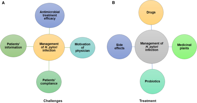 Helicobacter pylori: Perturbation and restoration of gut microbiome | SpringerLink Helicobacter pylori: Perturbation and restoration of gut microbiome | SpringerLink