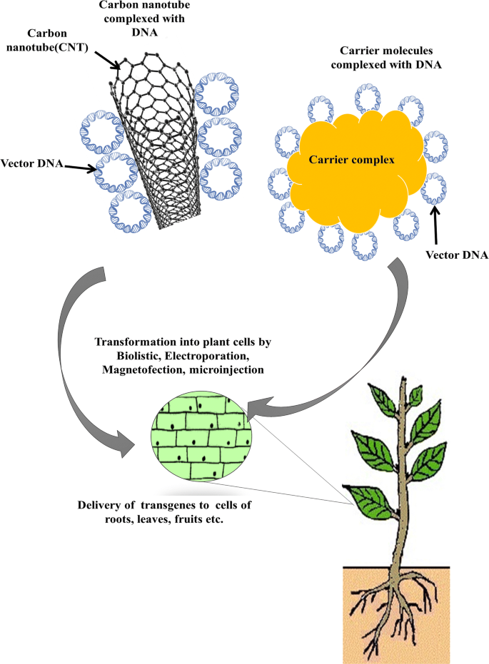 springerlink