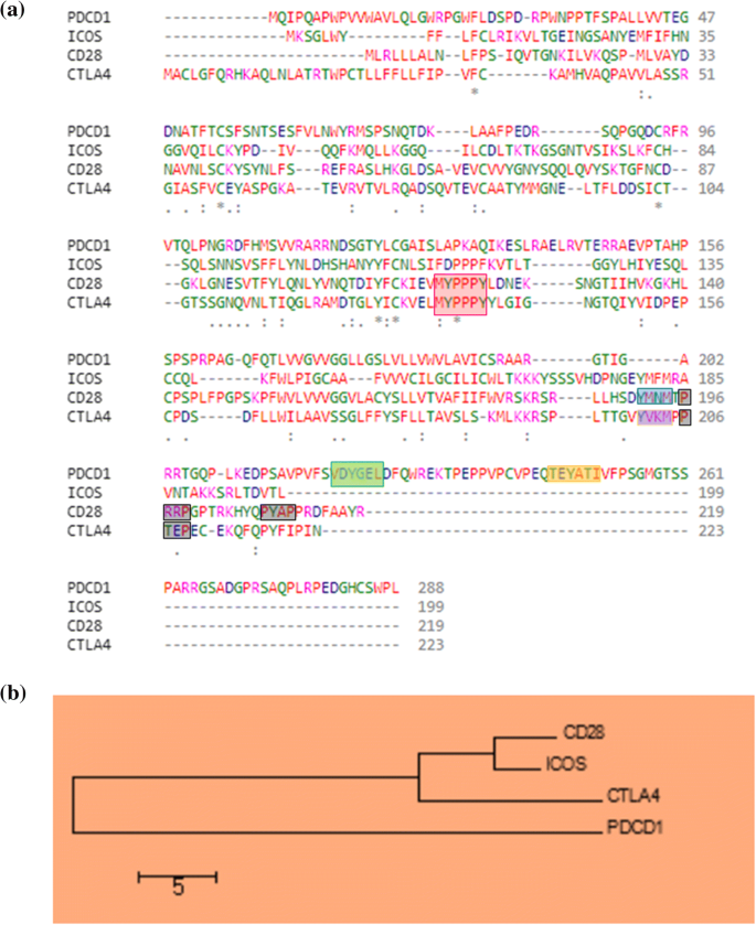 T Cell Costimulation Checkpoint Inhibitors And Anti Tumor Therapy Springerlink T Cell Costimulation Checkpoint Inhibitors And Anti Tumor Therapy Springerlink