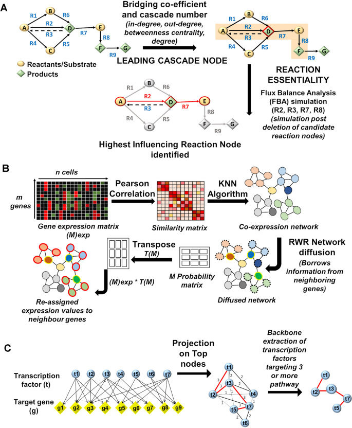 GWENA: gene co-expression networks analysis and extended modules  characterization in a single Bioconductor package, BMC Bioinformatics