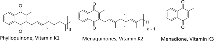 New Vitamin K3 Menadione Analogues Synthesis Characterization Antioxidant And Catalase Inhibition Activities Springerlink