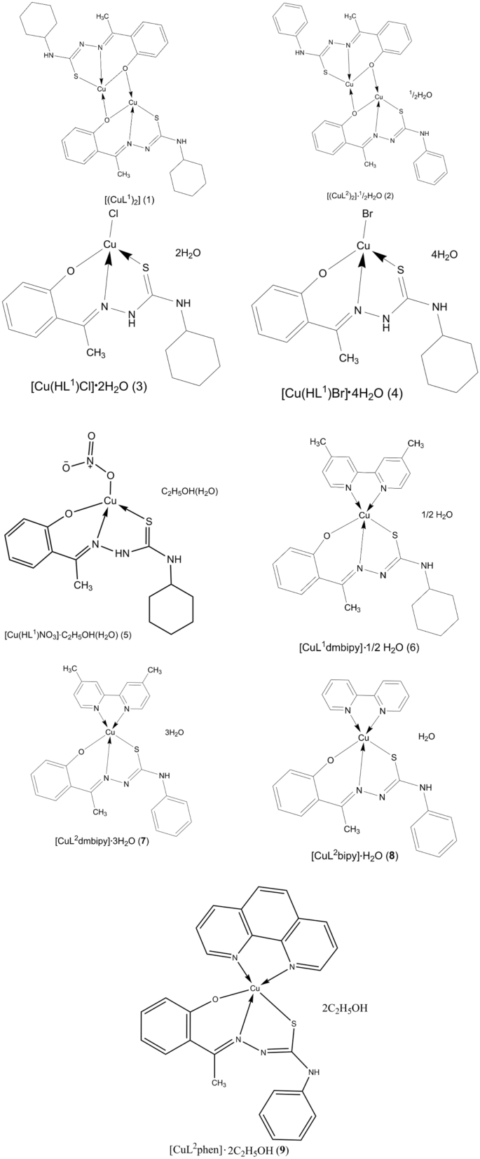 Structural And Spectral Characterization Of Cu Ii Complexes Of N 4 Substituted Thiosemicarbazones Derived From 2 Hydroxyacetophenone Crystal Structure Of A Dinuclear Cu Ii Complex Springerlink