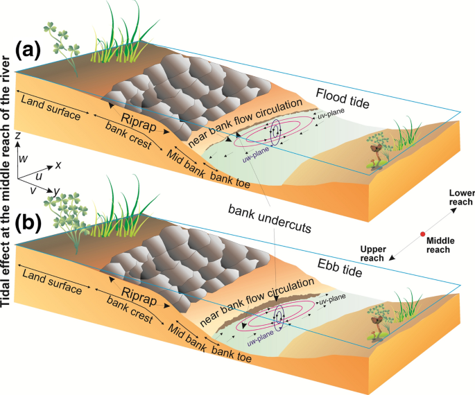 Effect of turbulent structures on the riverbank erosion due to tidal  influence: A case study from the Rupnarayan River, eastern India |  SpringerLink
