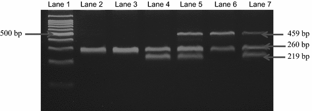 Association of GSTM1, GSTT1 and GSTP1 Ile105Val polymorphisms with 