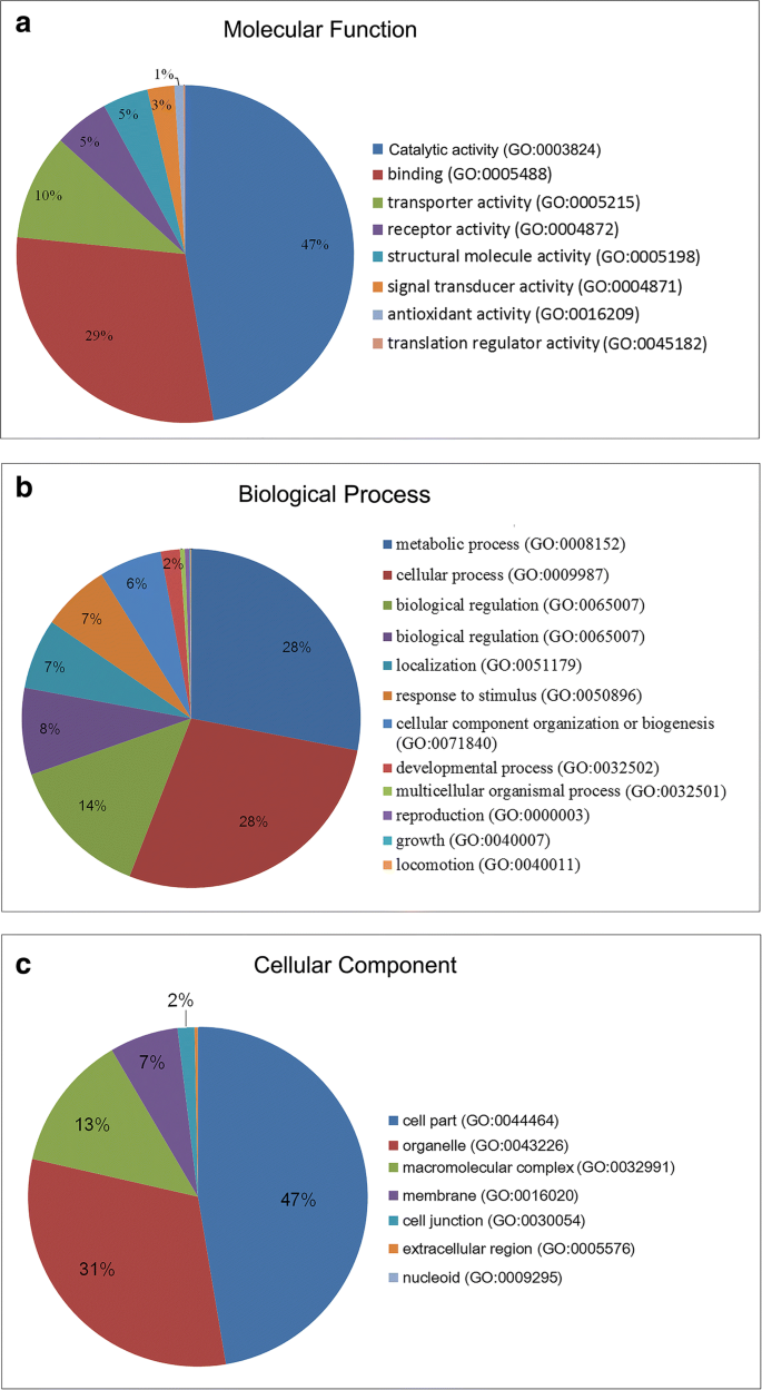 De Novo Transcriptome Assembly and Functional Annotation in Five Species of  Bats