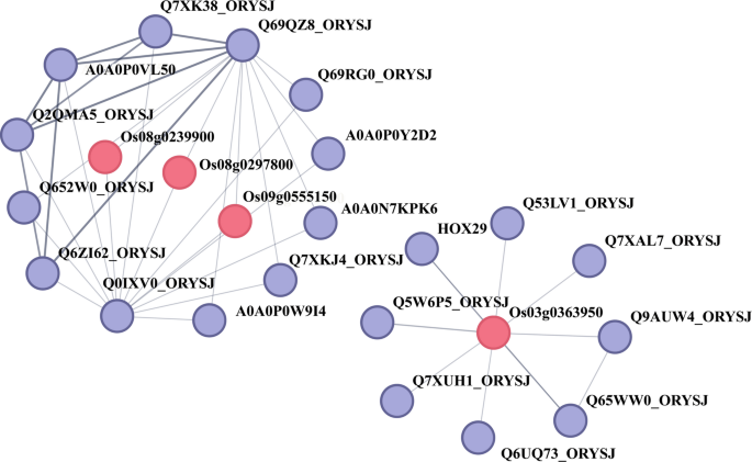 glutathione detoxification system Involvement of glutathione in the detoxification of xenobiotics and