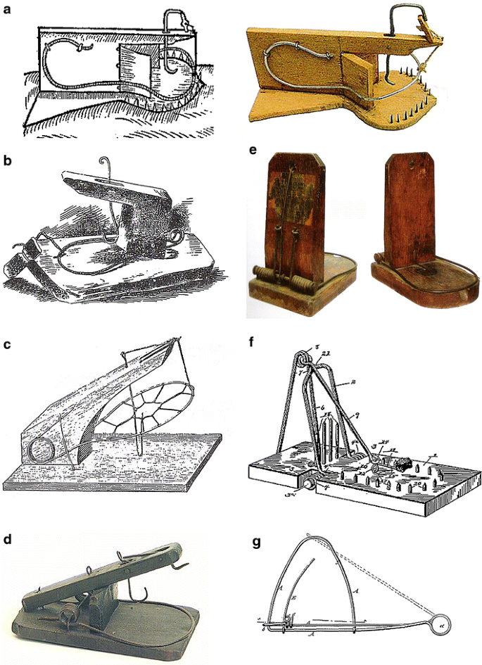 Exploring Mouse Trap History | Evolution: Education and Outreach | Full Text