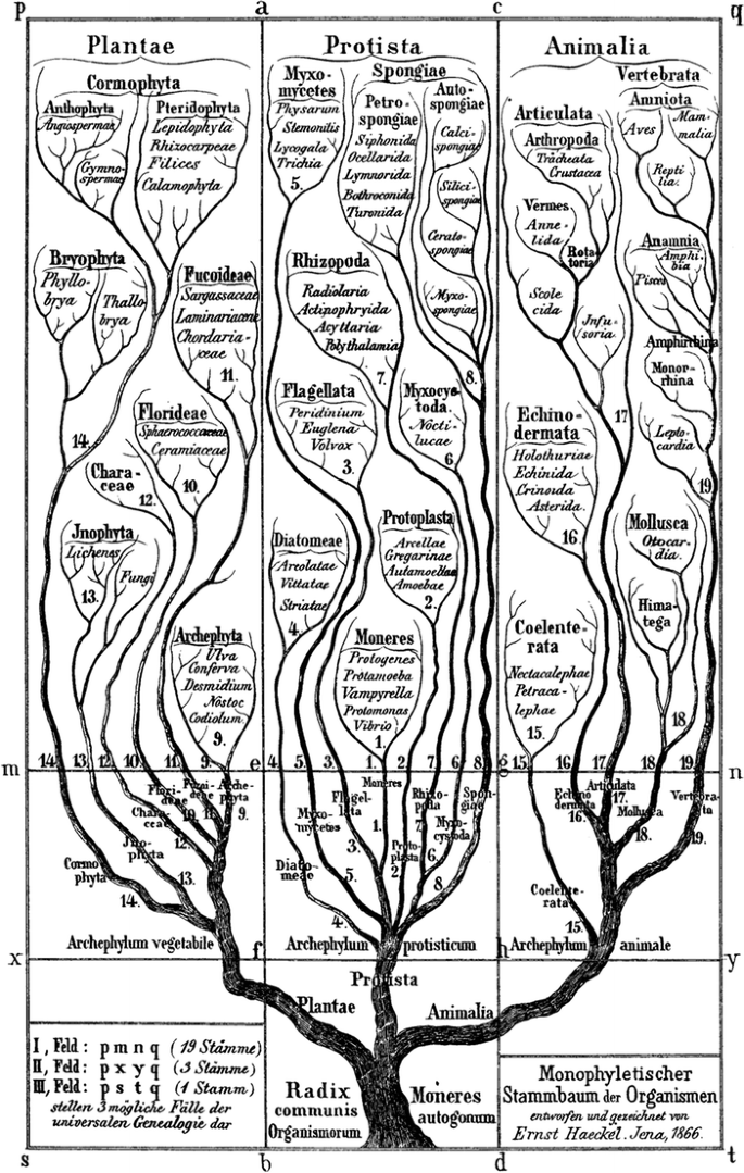 figure 18