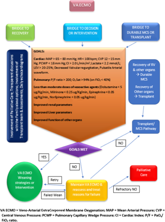 Fundamentals of weaning veno-arterial and veno-venous 