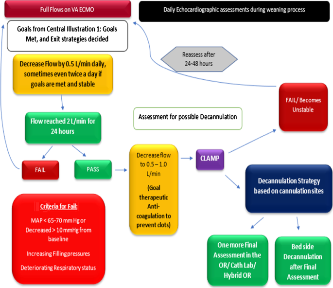 Fundamentals of weaning veno-arterial and veno-venous 