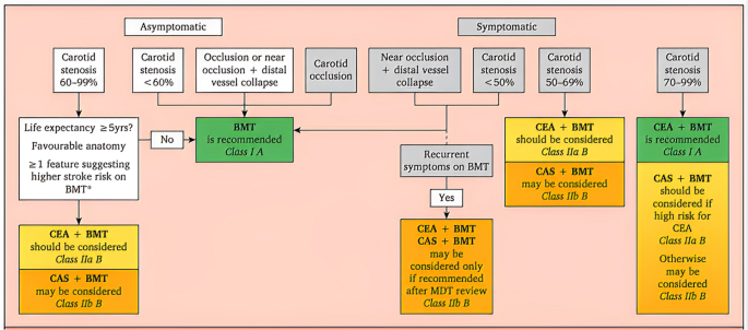 European Society for Vascular Surgery (ESVS) 2024 Clinical